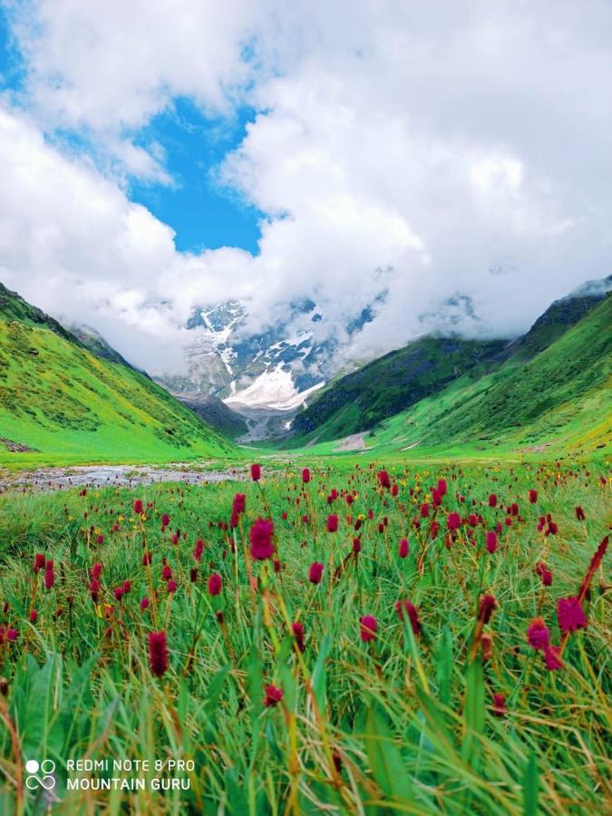 Hotel Himalayan Dews Ukhimath Dış mekan fotoğraf